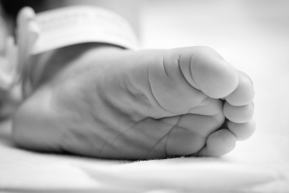 170417_JCraig_Benjamin_034