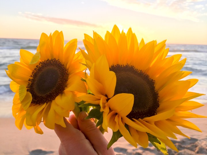 A Different Kind Of&nbsp;Easter