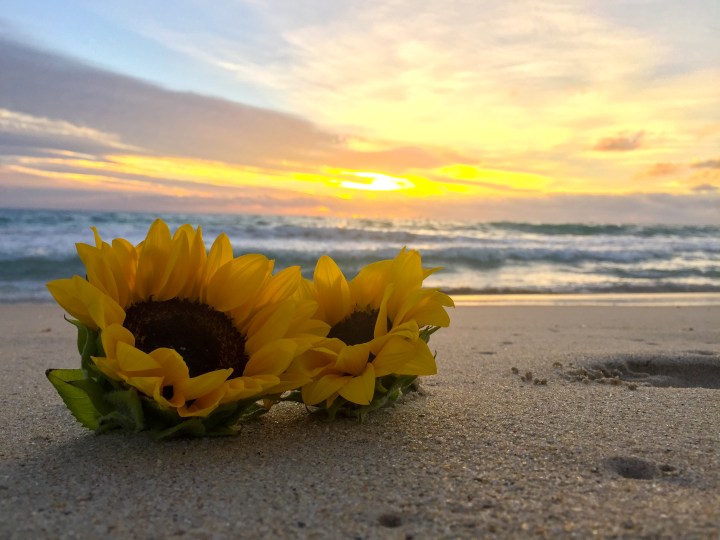 Benjamin's Sunset 08.04.2018 2