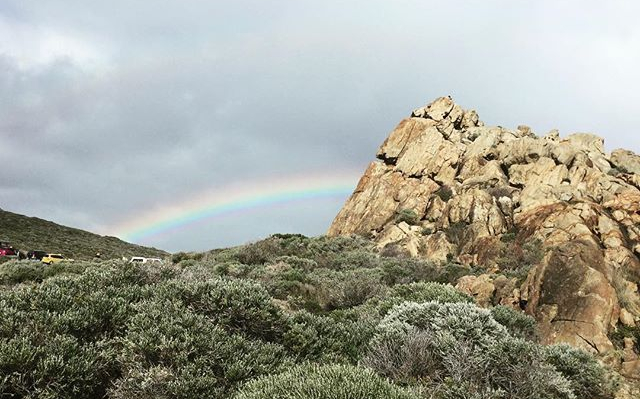 Rainbows and Teardrops